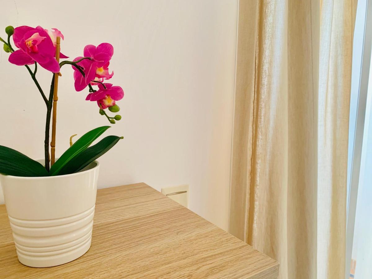 Homely Malaga Parras Con Terraza Interior Y Parking Privado Bajo Suplemento 외부 사진